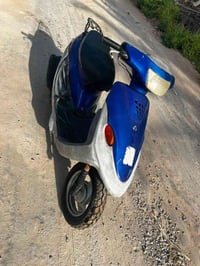 بيجي • فحل • نضافه