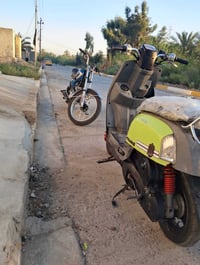 ماكس بوليس • كامل • مرتبه