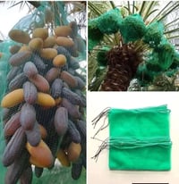 اكياس تغليف • تغليف تمر