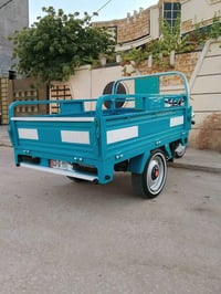 ستوتة • أوراق أصلية • حالة جيدة