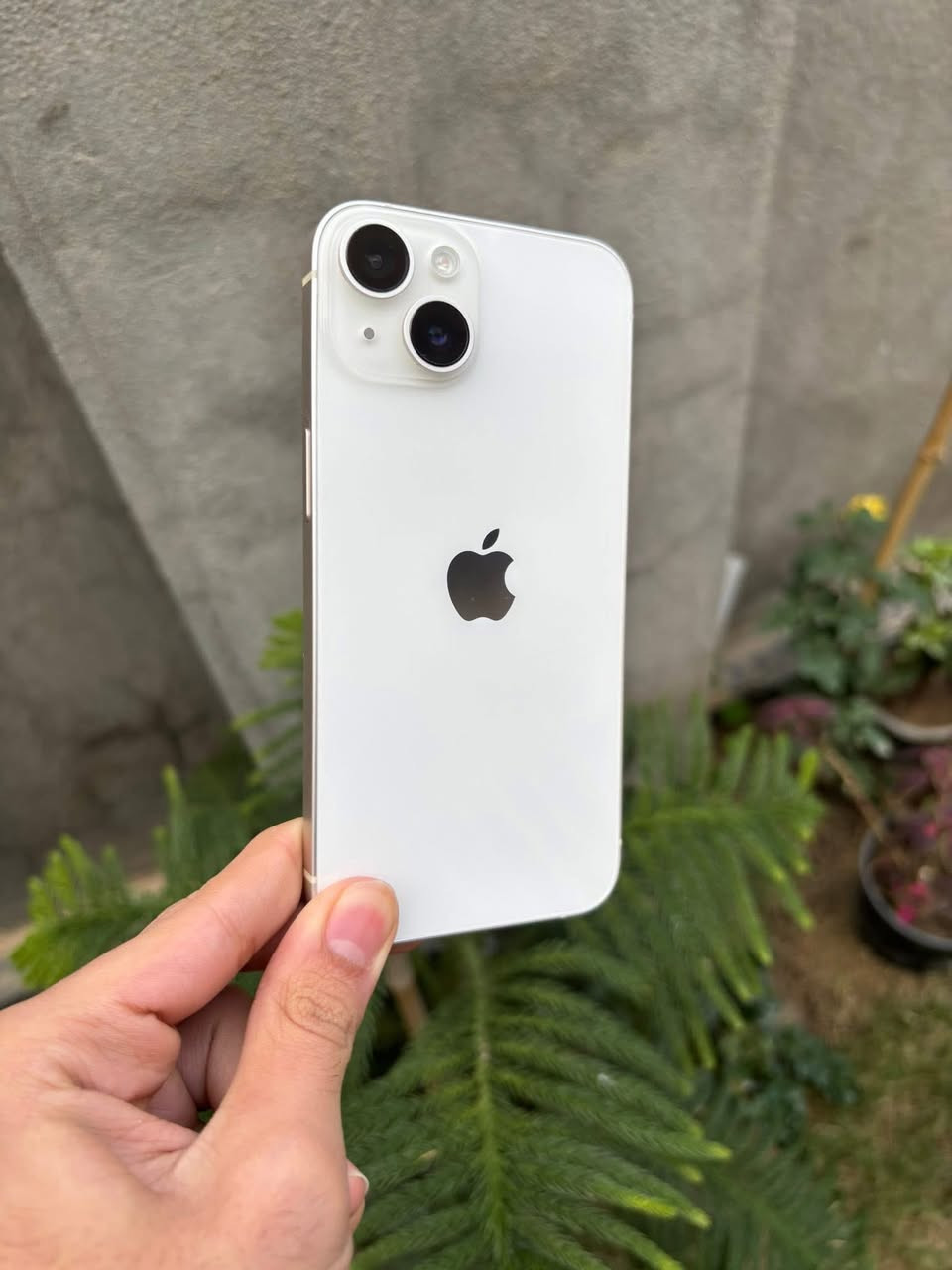 ***********
14 شرق اوسط 
بطاريه 86
