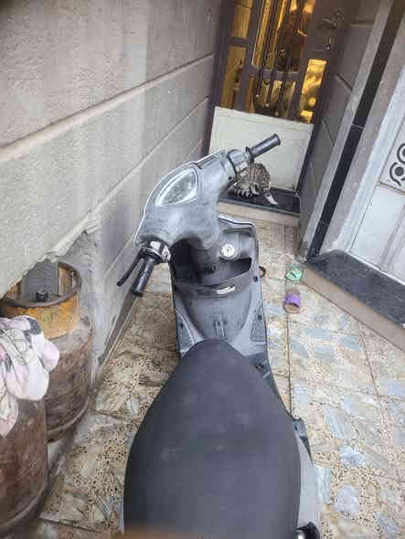 سلام عليكم ماكس عدله دراجه عله وضع البلاد بلاد شغاله سلف هندر شرط هندر واحد دراجه خير من الله مكينه ناعمه معدل يخبل مكان بغداد بلديات رقمي ***********
