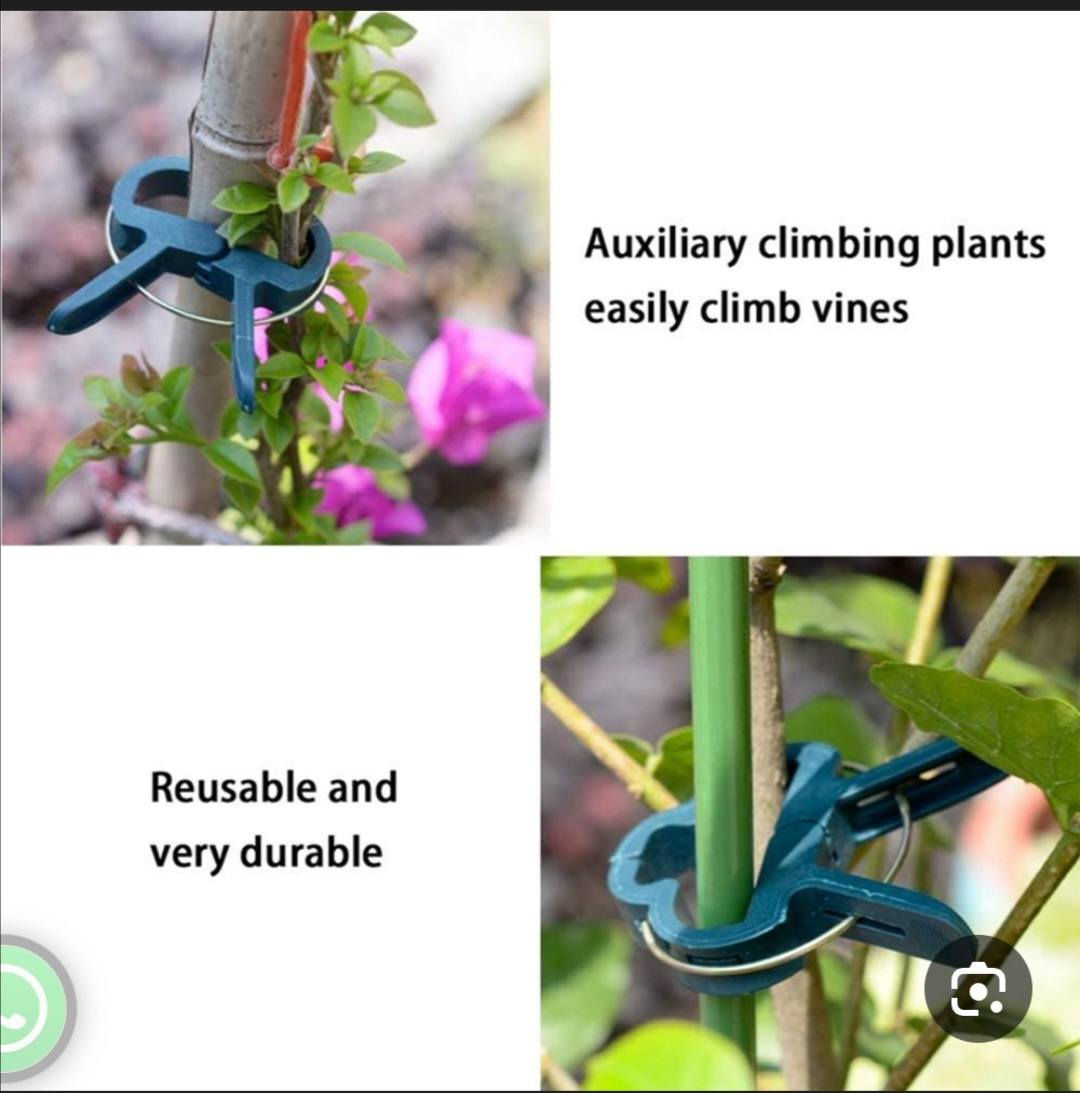 كلمن وسعره


**إذا كنت صاحب هذا الإعلان وتريد حذفه لأي سبب، رجاءا أرسل رسالة إلى الدعم الفني**