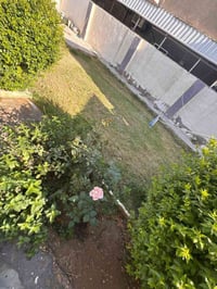 إعادة نشر بسبب الوعود دار للبيع طابو صرف في الصويره حي الحسينية شارع ا...