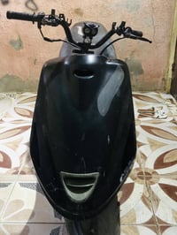 فراشة • بصرة • مجال