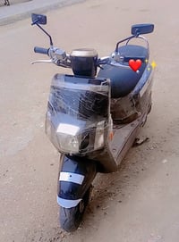 بوليسي • أسود • بصرة جمعيات