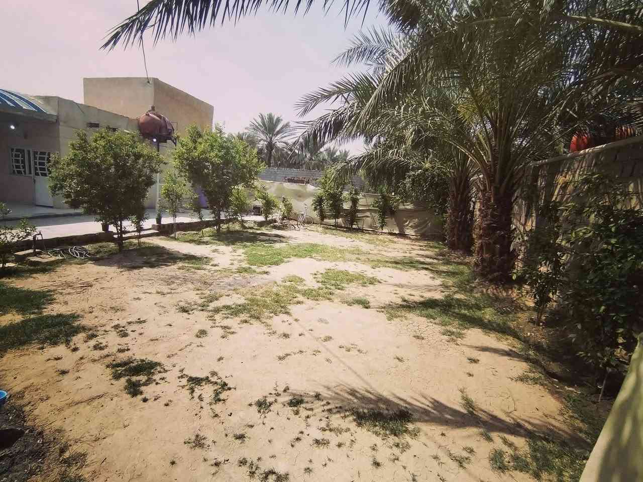 بيت لبيع مع قطعه
مساحه الكليه 600م
البيت يحتوي على 
غرف نوم (2)
هوال  مطبخ 
واستقبال
العنوان بابل قضاء المحاويل 
يبعد عن شارع حله بغداد ٢٠٠م
خلف معارض المحاويل 
👈 سعر 👉 ٦٥ مليون
متواجدين على الأرقام التاليه 
***********
