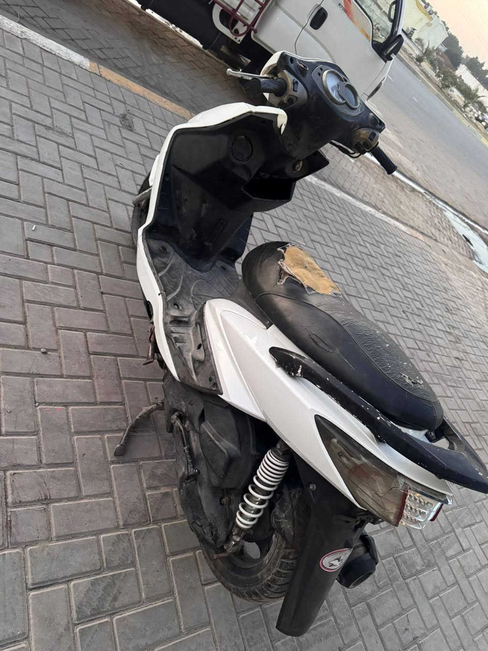 السلام عليكم سكنس فحل للبيع السعر ٦٥٠ رقم ***********
