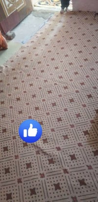 كاربت • نضيف • نص