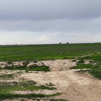 قرية شاصاوان • ٥ دونم • واجهة ٥٠م