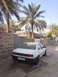 بيجو روى • ٢٠٠٩ • تفلت الكير