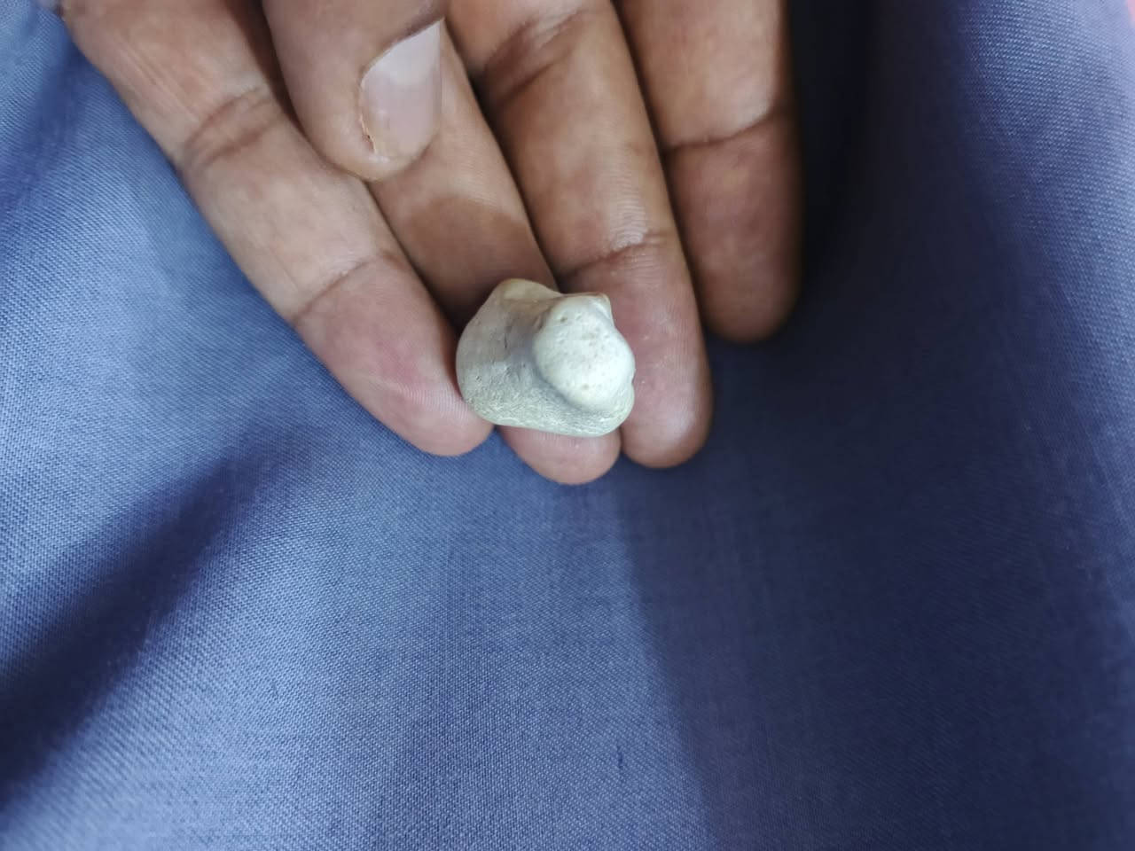 السلام عليكم من رخصة الادما طبعا
شرط ملاگط قديم واليمانية ذمه من اليمن 
العنوان بغداد 
***********
