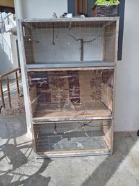 حلبجة • جديد • ديكور