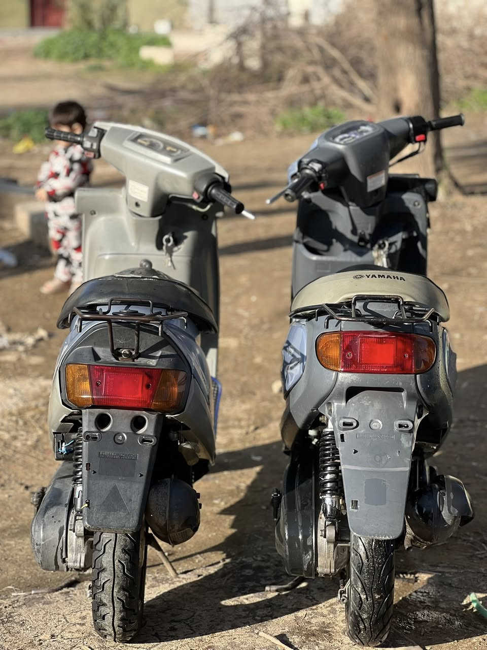 ‏نفخ وبز فوق نظافة ￼


**إذا كنت صاحب هذا الإعلان وتريد حذفه لأي سبب، رجاءا أرسل رسالة إلى الدعم الفني**