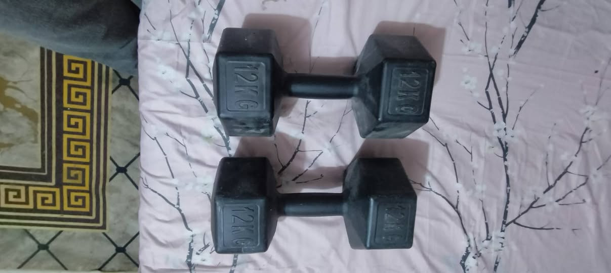 دمبلص الوزن 12.5 استعمل قليل العدداثنين السعر 25 بيهن مجال بسيط السعر ***********
