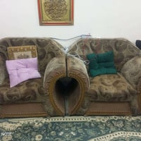 عشر نفرات مابي عيب كىكوك تسعين السعر ١٠٠  الف لاستفسار ٠٧٧٠١٥١٨٧٠٣