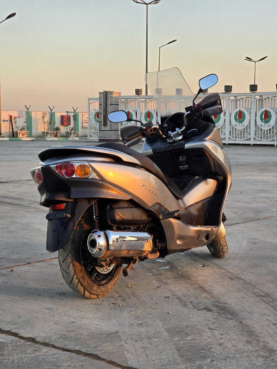 السلام عليكم فورزا 0\10 للبيع 
مكينه وكير بلادي ما ممدود على درنفيس ابد 
مكينه ناعمه خير من الله
بصمه 
ماخذها رمبه 
السعر 10 اوراق
للاستفسار ***********
***********
