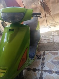 فراشة نثية • مايدير سلف • مستعجل