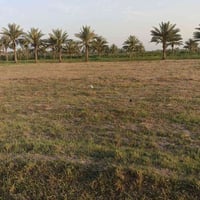 منطقة سيد سهل • ٢٥٠٠م • طابو زراعي سند