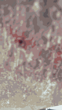 دراجة تيربو • مديل 2024 • نجف حي ميسان