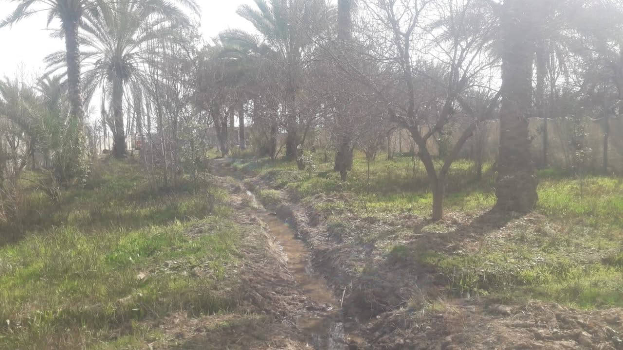 خوان دونم وثنميت متر للبيع في منطقت الرشديه سند خمسة وعشرين***********
