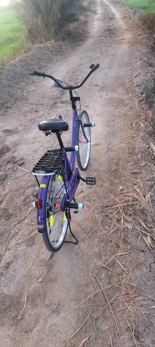 سلام عليكم
باسكل للبيع او للمراوس شعدك نزل 

باسكل مديل 22.8

الباسكل نضيف نضافته 95

الباسكل بي شخوط الحاويه فقط وبي عقجه بل صينيه مال حاويه 

شركه BD🏅

ولباسكل صارلي شهر من منزله نضيف 

الباسكل سعره 140 وبي مجال للطيبين🤎🏅


**إذا كنت صاحب هذا الإعلان وتريد حذفه لأي سبب، رجاءا أرسل رسالة إلى الدعم الفني**