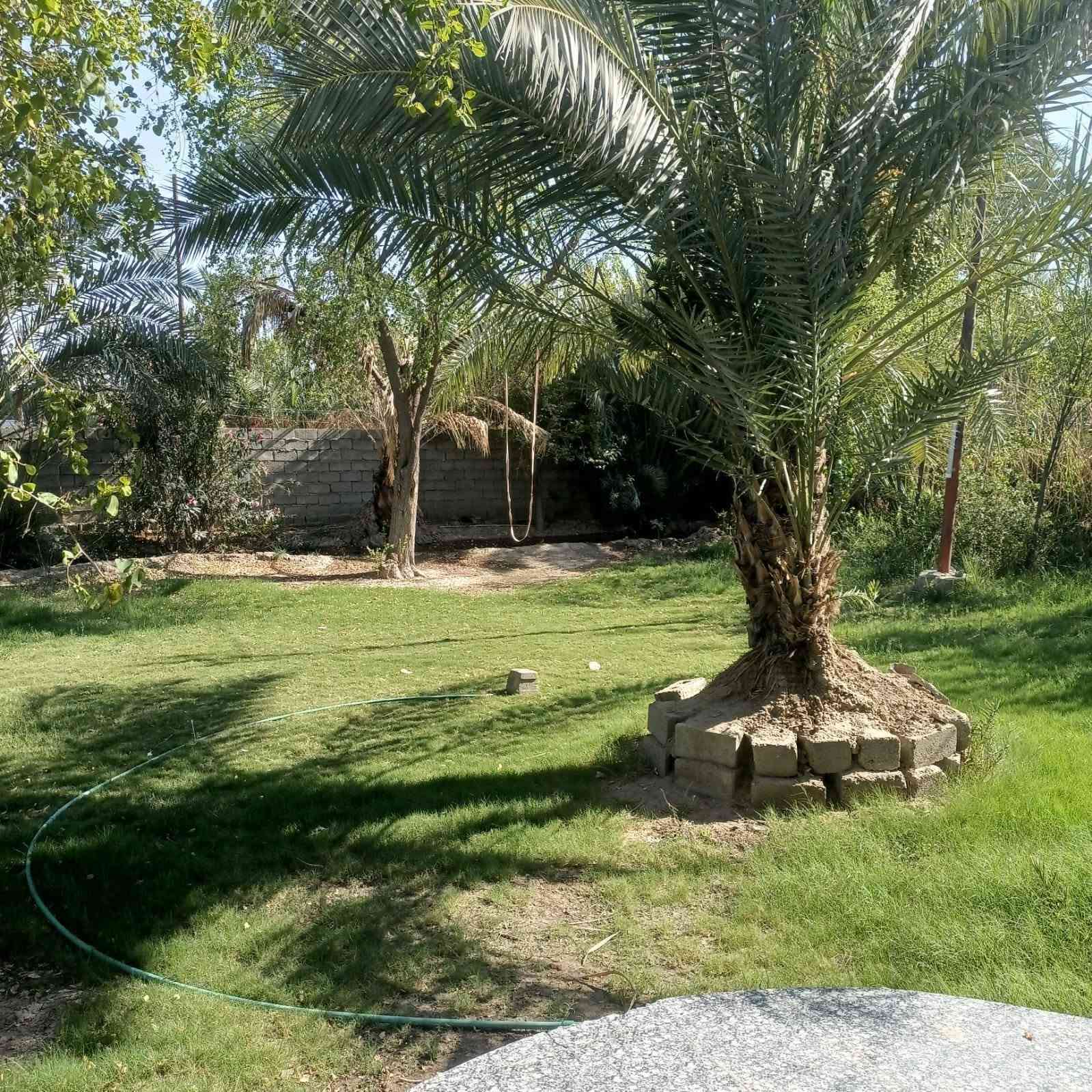 ياالله
السلام عليكم /  للبيع او مراوس
مزرعة دونم ونص مع دار /  خدمات  متكاملة
جنس العقار ( 117) 
يحتوي على ( 2)   غرف / ( 2) صالة / مطبخ / استقبال
واجهة الدار ( 15)م / النزال ( 12)
العنوان / بغداد / ابو غريب / شارع التله
للاستفسار الاتصال او المراسلة عبر الواتساب على هذا الرقم *********** بغداد, العراق

