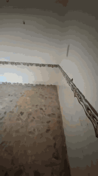 بيت لبيع بغداد سبع قصور قرب صيطره شارع 20طابو زراعي سند 25مساحه 100متر...