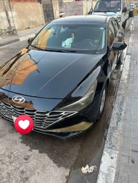 النترا • ٢٠٢١ • وارد امريكي
