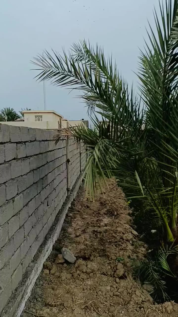 بستان 2 دونم طابو سند 25
المكان التاجي مقابيل معسكر التاجي قرب كليه الرشيد الجامعه
مستعجل على البيع التحويل مباشر 

مع اشجار مشمش ما يقارب 60 شجرة مشمش

ونخل برحي حديث الزراعه 

للتواصل 
***********

***********
