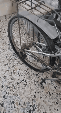 السلام عليكم بايسكلات للبيع نوعيتهن واحد أمريكي و الثاني كوري للتواصل على هذا الرقم
***********
