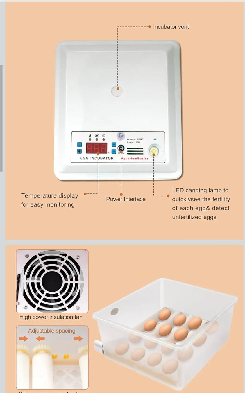 حاضنة تفقيس البيض مع وظيفة تقليب البيض، الة تفقيس الدواجن الاوتوماتيكية مع وظيفة شمعة LED وتحكم في درجة الحرارة لتفقيس البيض والسمان والديك الرومي


**إذا كنت صاحب هذا الإعلان وتريد حذفه لأي سبب، رجاءا أرسل رسالة إلى الدعم الفني**