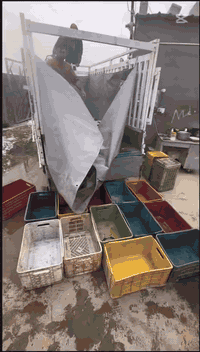 تمه وصول وجبه جديده من سمك احواض جديد سعر الكيلو 5500 جميع الوزان يتوفر لدينا خدمت توصيل وتضيف والعنوان أسواق النور شارع المصرف *********** توصيل مجاني داخل عانه فقط مجاني
