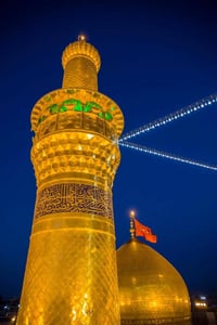 حملة موسى الكاظم • زيارة كربلاء • تجمع شارع المحيط