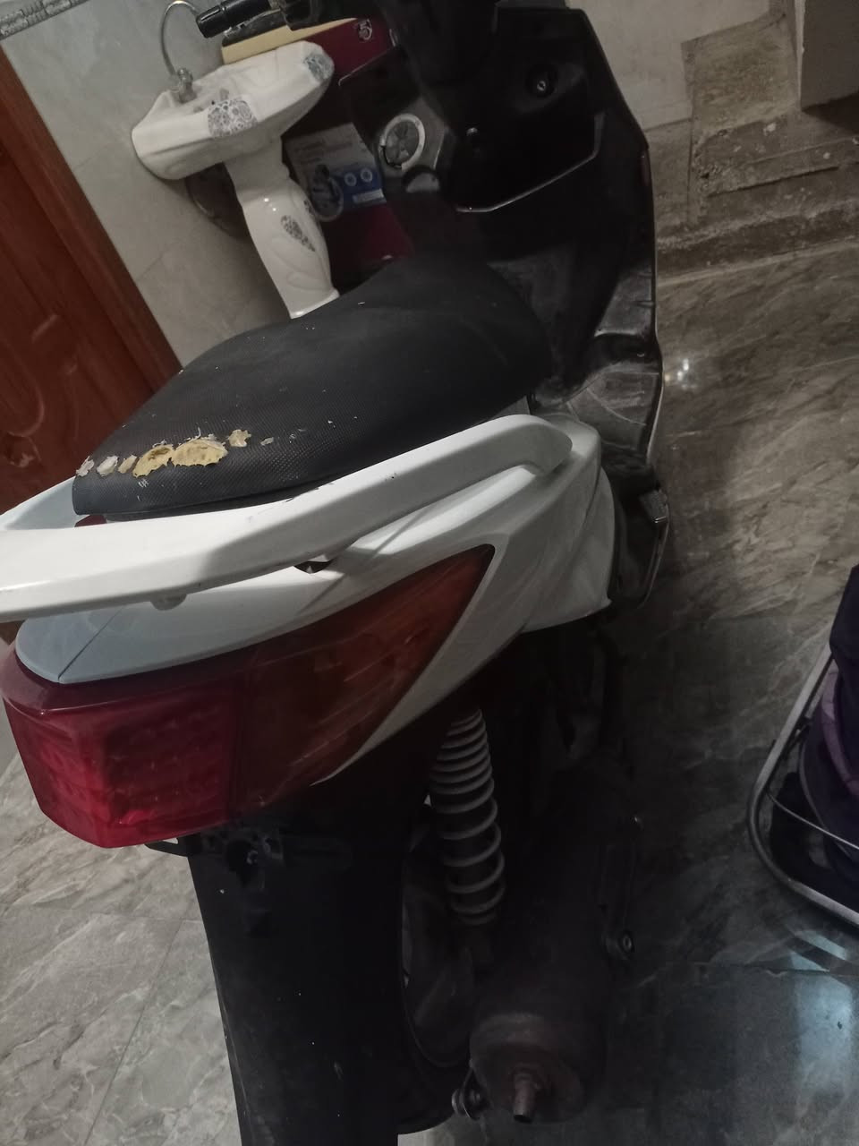 سكنس فحل للبيع ماصارله 6 اشهر من منزل رمبه دراجه مكينه مامفتوحه بيه شوي خدوش بل صفحه كلوبات اشاير بك لايت ابريكات امامي خلفي المكان بغداد شعب سريدات سعر 550. رقم نقال ***********

