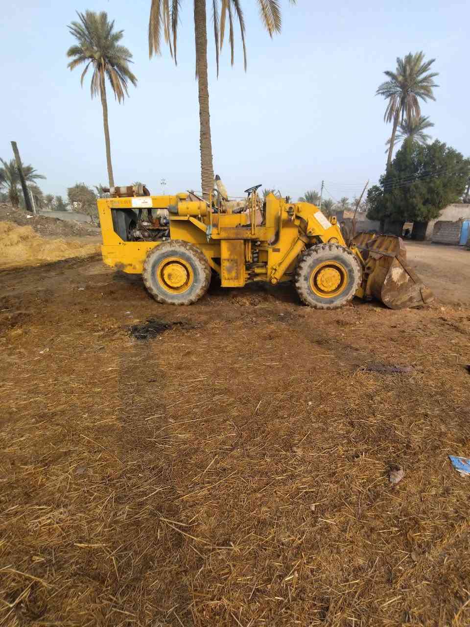 شفل للبيع رقم نجف بسمي ***********
