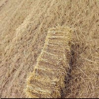 قضاء الصويرة • ناحية الشحيمية