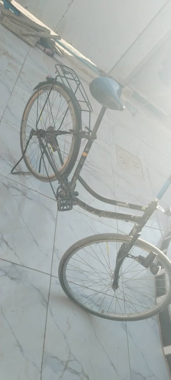 سلام عليكم باسكل البيع مديل 19 سانتوس ما مصبوغ باسكل بدون جاملغ كدام و صنيه ما بي هوه غراضه كامله بس صنيه و جاملغ كدام ما بي سعر 60 وبي مجال ابيع او مراوس مكان نجف رقم *********** وساب فقط
