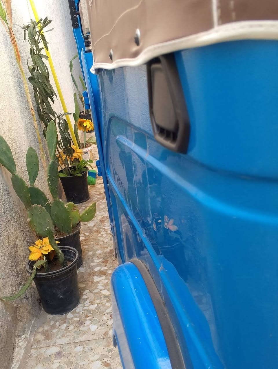 تكتك البيع موديل ٢٢ مكلف بالنشر


**إذا كنت صاحب هذا الإعلان وتريد حذفه لأي سبب، رجاءا أرسل رسالة إلى الدعم الفني**