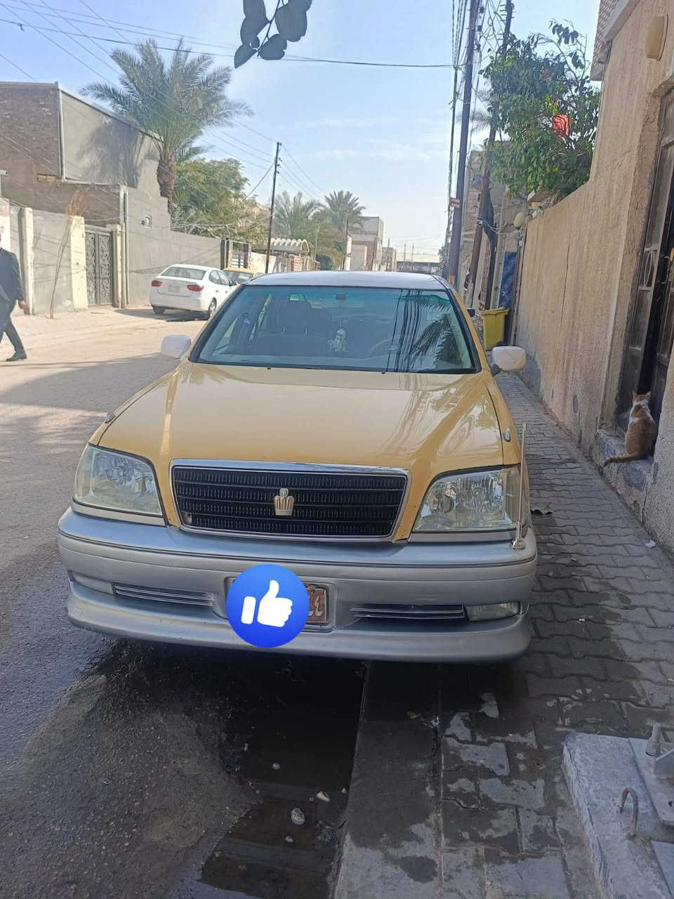 سلام عليكم ورحمة الله
ملكه كصتين رقم احمر صدامي وكاله فقط وكاله فقط 

مكينه سي 9حجم 2500 مكينه كير خير من الله تبريد ثلج الله شاهد ستوني مسوي حتى بعدي مامشغله بلضمان مالته 

اربع كشنات كهرباء برده خلفيه ستيرن كهرباء مري شفط زاد هيتر مانع انزلاق اي بي اس مراوس فقط ملكه الماني واطي فرق ***********بي واتساب
