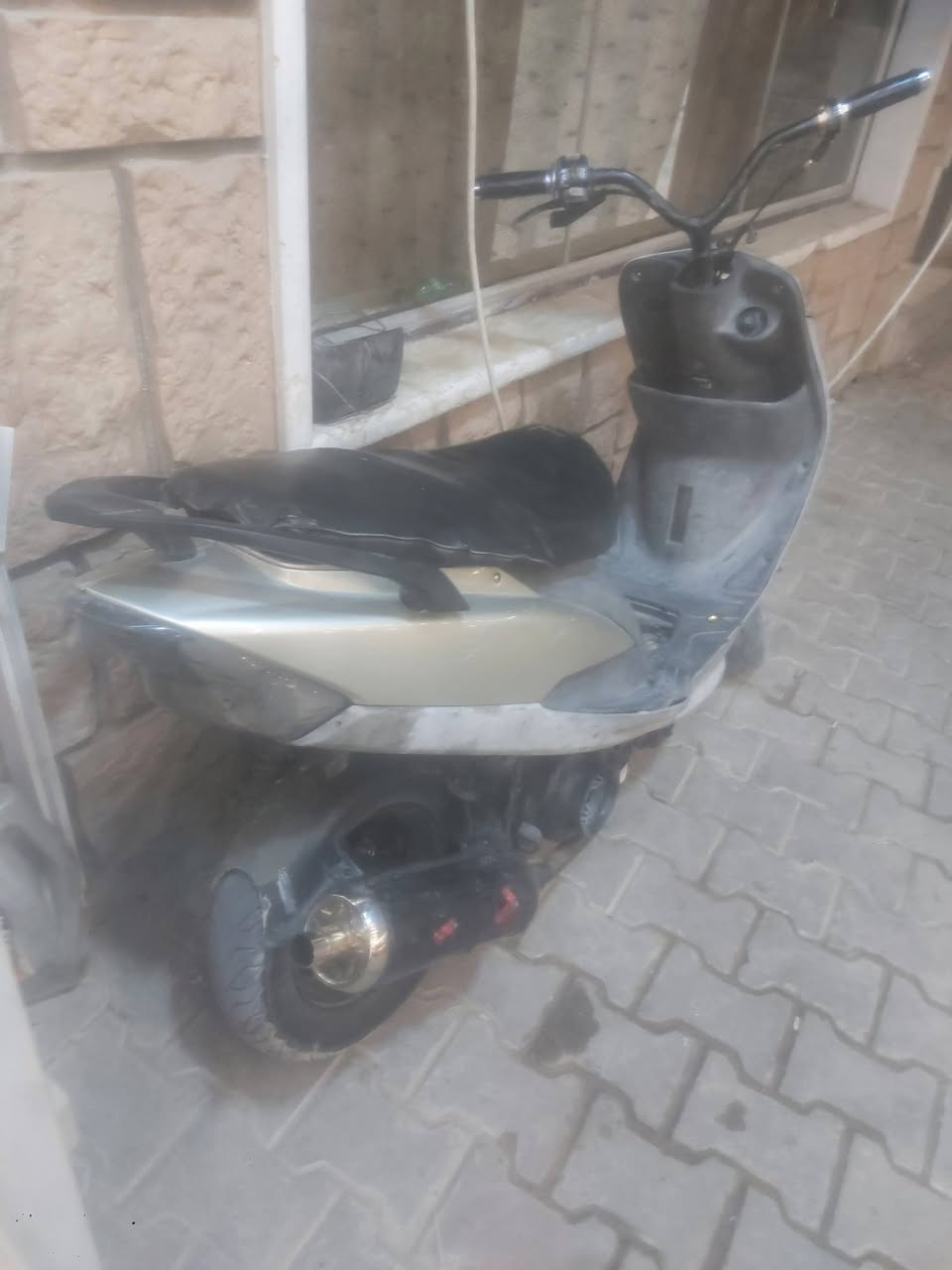 ماكس منغولي بوشه55
السعر 350وبيه مجال مكاني كوفه شارع المعمل واتساب ***********
