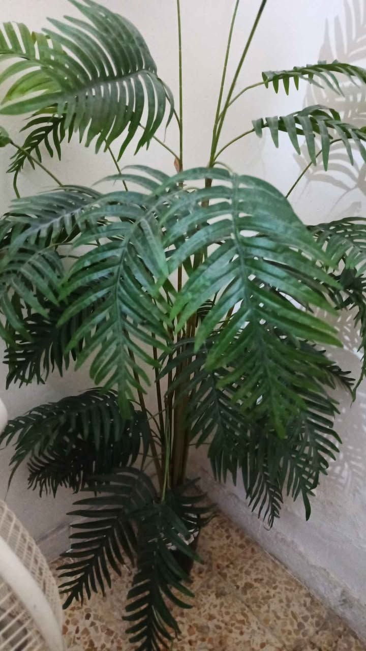 زرع صناعي بحاله جيده بغداد, العراق


**إذا كنت صاحب هذا الإعلان وتريد حذفه لأي سبب، رجاءا أرسل رسالة إلى الدعم الفني**