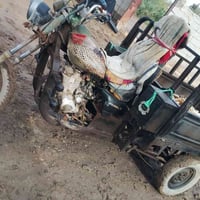 ستوته • مكفوله • ٢٠١٣