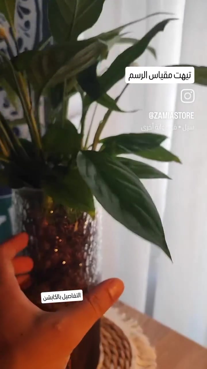 https://www.instagram.com/reel/DY_pwCrNeWy/?igsh=MXJqYTgwbWV4MXdpdQ==


**إذا كنت صاحب هذا الإعلان وتريد حذفه لأي سبب، رجاءا أرسل رسالة إلى الدعم الفني**