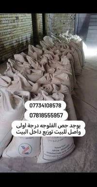 جص • يوصلك مع عمال • جزيره فلوجه ولكرمه