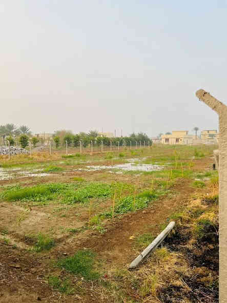 ---

🏡 للبيع دونم في منطقة التويثة – قرب مستشفى ابن الخطيب

✨ تفاصيل العقار:
مشجر حمضيات وكابرس
المساحة: دونم واحد

الواجهة: 22.5 متر
النزال: 105 متر

النوع: طابو ملك صرف

المنطقة: سكنية
الخدمات: ماء، كهرباء، سحب

موقع مميز:
يبعد 200 متر فقط عن السدة

على شارع عريض 10 متر
يبعد عن التبليط 100 متر فقط

💰 سعر مميز جداً

📞 للاستفسار: ***********
