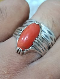 لعيون الخان • تونسي