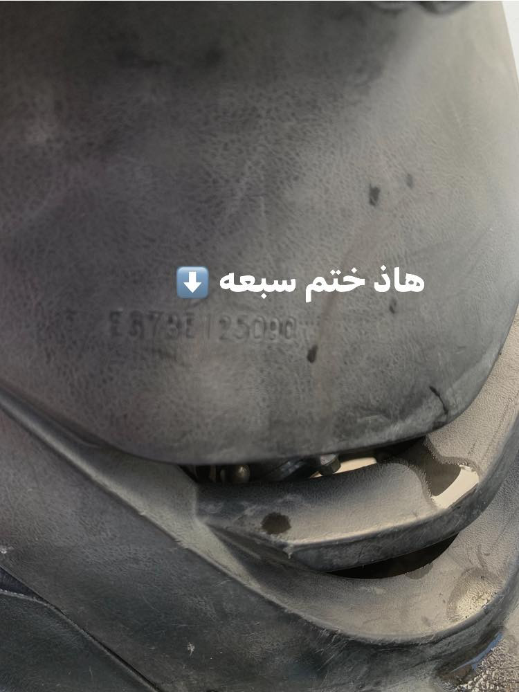 ماكس ثعلب للبيع
