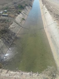 الشيخ عامر بلعيساويه • 12 دوانم • طابو زراعي