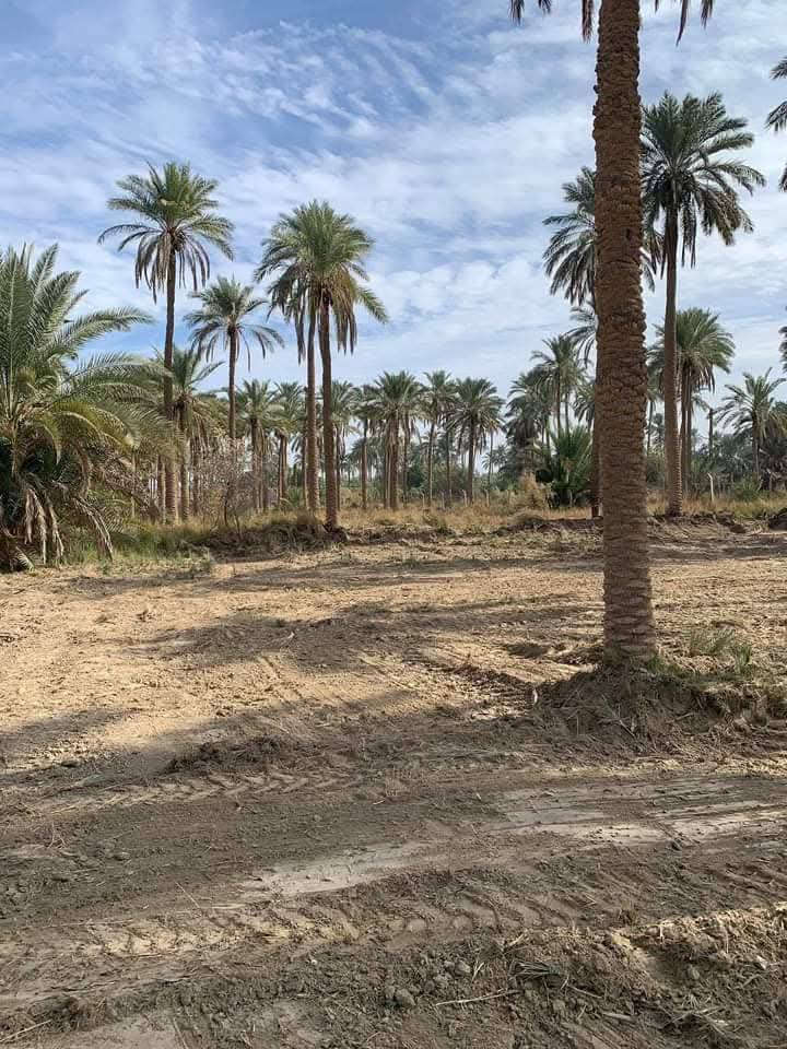 يا الله السلام عليكم قطعه ارض للبيع مساحه (( 100 متر))  ملك صرف زراعي سنه 25 طابو الاعظميه منطقه الفحامه قرب جزيره بغداد السياحيه بستان الكبيسي منطقه طابع سكن خدمات/ كامله/ كهرباء /ماء /مولد/ شارع عريض عرض 15 متر والفرع 10 السعر ب  25 مليون    للاستفسار على هذا الرقم*********** وتساب
